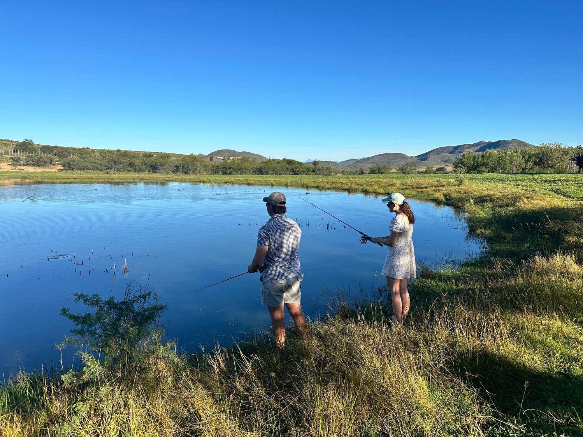 Swartberg Private Game Lodge Oudtshoorn Extérieur photo